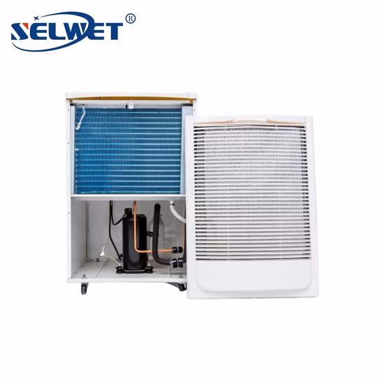 Portable Dehumidifier Unit for Home