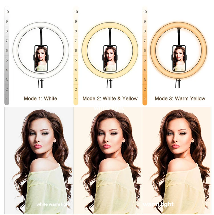 Brightenlux Supplier Wholesale 10&prime; Beauty LED Selfie Ring Light Makeup Lighting Circle Tripod Stand LED Ring Light for Youtube Video