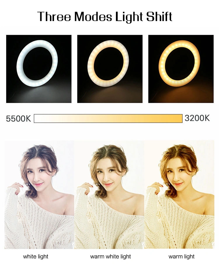 Brighenlux Wholesale Beauty 10 Inch Photographic Selfie LED Ring Light with Tripod Stand for Live Stream Makeup Youtube Video
