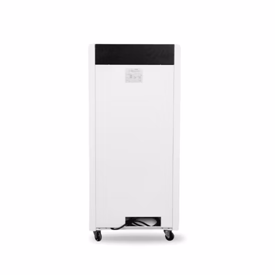 Portable Dehumidifier Systems